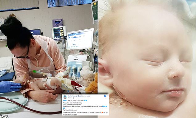 Anne Freeman's Enduring Grief: Carolyn Bessette's Mother's Story